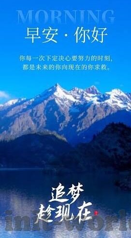 四年级作文森林舞会-森林舞会，四年级的奇妙探险